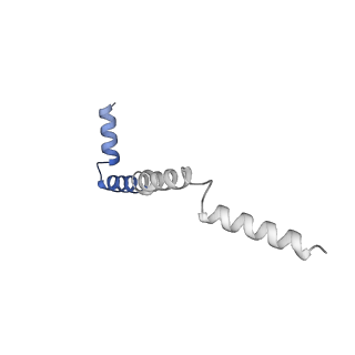 35720_8iuf_Qi_v1-1
Cryo-EM structure of Euglena gracilis super-complex I+III2+IV, composite