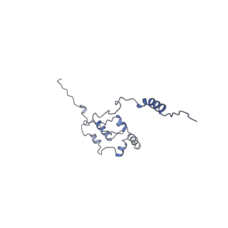 35720_8iuf_Qj_v1-1
Cryo-EM structure of Euglena gracilis super-complex I+III2+IV, composite