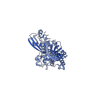 35720_8iuf_S2_v1-1
Cryo-EM structure of Euglena gracilis super-complex I+III2+IV, composite