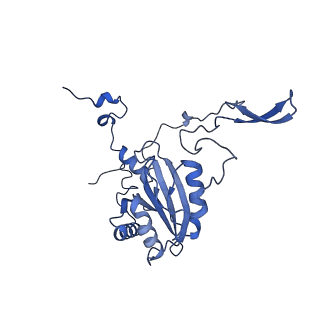 35720_8iuf_S3_v1-1
Cryo-EM structure of Euglena gracilis super-complex I+III2+IV, composite