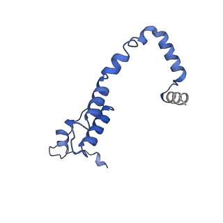 35720_8iuf_S5_v1-1
Cryo-EM structure of Euglena gracilis super-complex I+III2+IV, composite