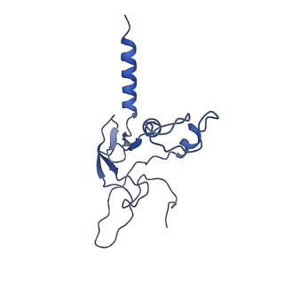 35720_8iuf_S6_v1-1
Cryo-EM structure of Euglena gracilis super-complex I+III2+IV, composite