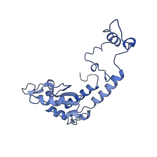 35720_8iuf_S7_v1-1
Cryo-EM structure of Euglena gracilis super-complex I+III2+IV, composite