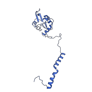 35720_8iuf_S8_v1-1
Cryo-EM structure of Euglena gracilis super-complex I+III2+IV, composite