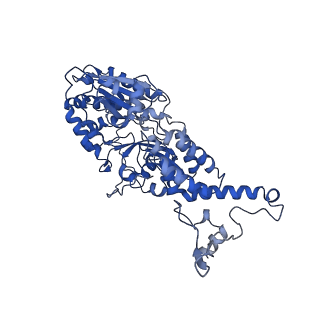 35720_8iuf_V1_v1-1
Cryo-EM structure of Euglena gracilis super-complex I+III2+IV, composite