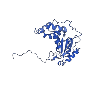 35720_8iuf_V2_v1-1
Cryo-EM structure of Euglena gracilis super-complex I+III2+IV, composite