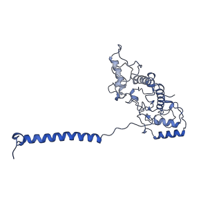 35721_8iug_C_v1-1
Cryo-EM structure of the RC-LH core complex from roseiflexus castenholzii
