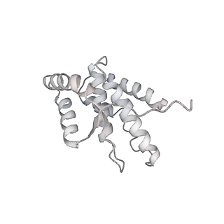 35722_8iuh_1_v1-1
RNA polymerase III pre-initiation complex open complex 1