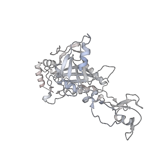 35722_8iuh_3_v1-1
RNA polymerase III pre-initiation complex open complex 1