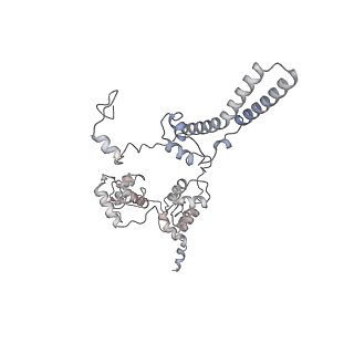 35722_8iuh_4_v1-1
RNA polymerase III pre-initiation complex open complex 1