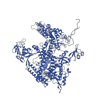 35722_8iuh_A_v1-1
RNA polymerase III pre-initiation complex open complex 1