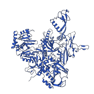 35722_8iuh_B_v1-1
RNA polymerase III pre-initiation complex open complex 1