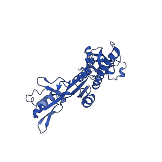 35722_8iuh_C_v1-1
RNA polymerase III pre-initiation complex open complex 1