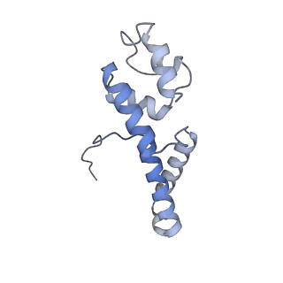 35722_8iuh_D_v1-1
RNA polymerase III pre-initiation complex open complex 1