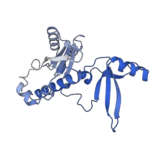 35722_8iuh_E_v1-1
RNA polymerase III pre-initiation complex open complex 1