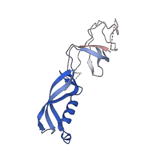 35722_8iuh_G_v1-1
RNA polymerase III pre-initiation complex open complex 1