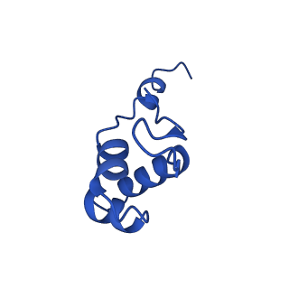 35722_8iuh_J_v1-1
RNA polymerase III pre-initiation complex open complex 1