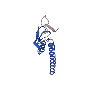 35722_8iuh_K_v1-1
RNA polymerase III pre-initiation complex open complex 1