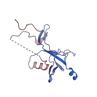 35722_8iuh_N_v1-1
RNA polymerase III pre-initiation complex open complex 1