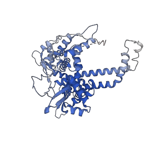 35722_8iuh_O_v1-1
RNA polymerase III pre-initiation complex open complex 1