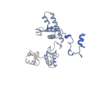 35722_8iuh_P_v1-1
RNA polymerase III pre-initiation complex open complex 1