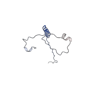35722_8iuh_Q_v1-1
RNA polymerase III pre-initiation complex open complex 1