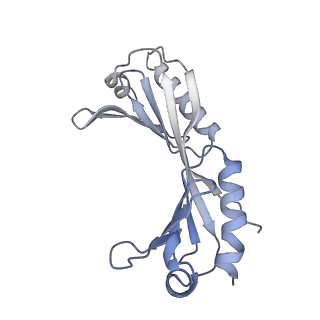 35722_8iuh_U_v1-1
RNA polymerase III pre-initiation complex open complex 1