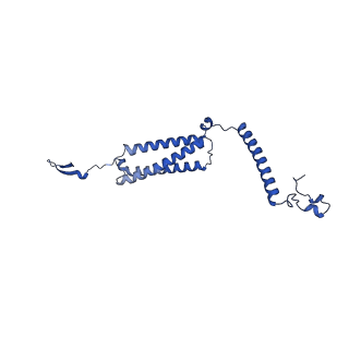 35723_8iuj_4A_v1-1
Cryo-EM structure of Euglena gracilis super-complex III2+IV2, composite