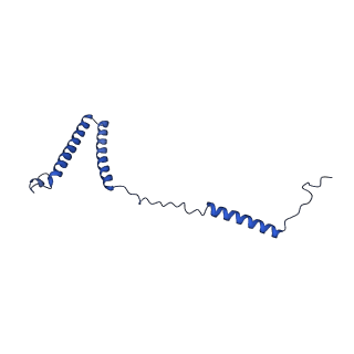 35723_8iuj_4C_v1-1
Cryo-EM structure of Euglena gracilis super-complex III2+IV2, composite