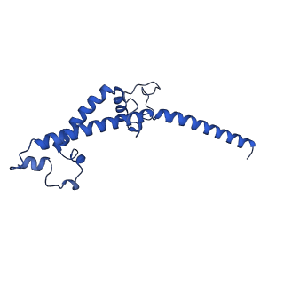 35723_8iuj_4E_v1-1
Cryo-EM structure of Euglena gracilis super-complex III2+IV2, composite