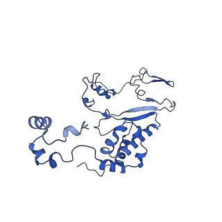 35723_8iuj_4I_v1-1
Cryo-EM structure of Euglena gracilis super-complex III2+IV2, composite