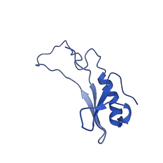 35723_8iuj_4J_v1-1
Cryo-EM structure of Euglena gracilis super-complex III2+IV2, composite