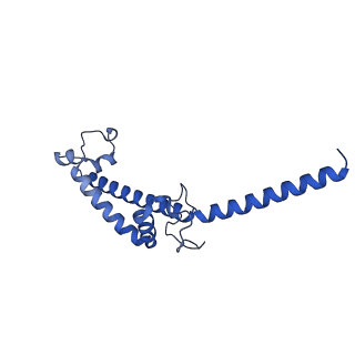 35723_8iuj_4e_v1-1
Cryo-EM structure of Euglena gracilis super-complex III2+IV2, composite