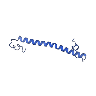 35723_8iuj_4f_v1-1
Cryo-EM structure of Euglena gracilis super-complex III2+IV2, composite