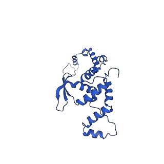 35723_8iuj_4h_v1-1
Cryo-EM structure of Euglena gracilis super-complex III2+IV2, composite