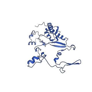 35723_8iuj_4i_v1-1
Cryo-EM structure of Euglena gracilis super-complex III2+IV2, composite