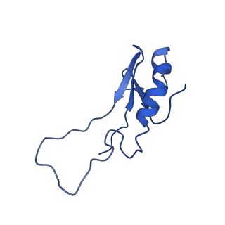 35723_8iuj_4j_v1-1
Cryo-EM structure of Euglena gracilis super-complex III2+IV2, composite