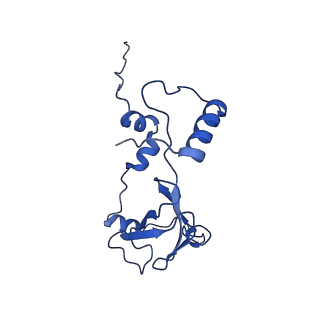 35723_8iuj_5B_v1-1
Cryo-EM structure of Euglena gracilis super-complex III2+IV2, composite