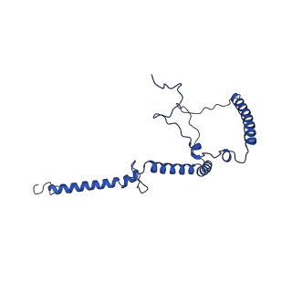 35723_8iuj_5C_v1-1
Cryo-EM structure of Euglena gracilis super-complex III2+IV2, composite