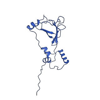 35723_8iuj_5b_v1-1
Cryo-EM structure of Euglena gracilis super-complex III2+IV2, composite