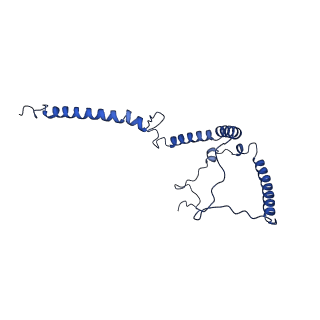 35723_8iuj_5c_v1-1
Cryo-EM structure of Euglena gracilis super-complex III2+IV2, composite