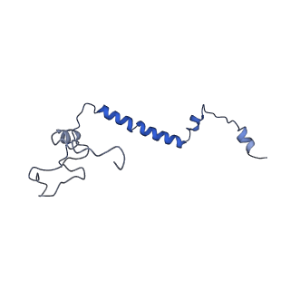 35723_8iuj_6A_v1-1
Cryo-EM structure of Euglena gracilis super-complex III2+IV2, composite