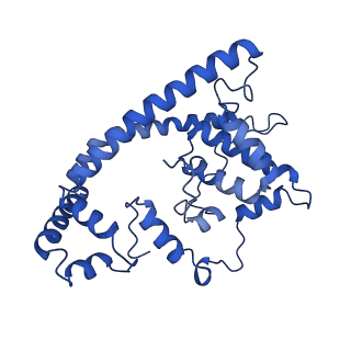 35723_8iuj_6B_v1-1
Cryo-EM structure of Euglena gracilis super-complex III2+IV2, composite