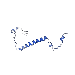 35723_8iuj_6a_v1-1
Cryo-EM structure of Euglena gracilis super-complex III2+IV2, composite