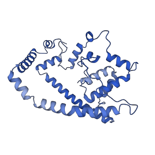 35723_8iuj_6b_v1-1
Cryo-EM structure of Euglena gracilis super-complex III2+IV2, composite