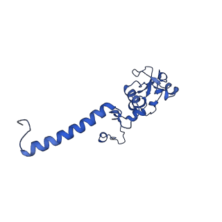 35723_8iuj_7A_v1-1
Cryo-EM structure of Euglena gracilis super-complex III2+IV2, composite