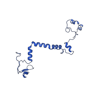 35723_8iuj_7C_v1-1
Cryo-EM structure of Euglena gracilis super-complex III2+IV2, composite