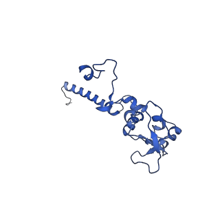 35723_8iuj_7a_v1-1
Cryo-EM structure of Euglena gracilis super-complex III2+IV2, composite