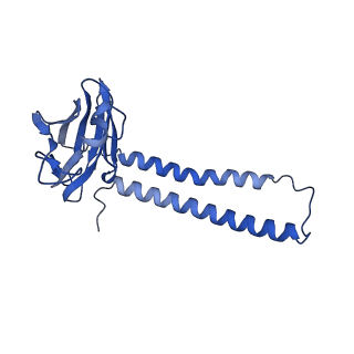 35723_8iuj_C2_v1-1
Cryo-EM structure of Euglena gracilis super-complex III2+IV2, composite