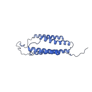 35723_8iuj_C3_v1-1
Cryo-EM structure of Euglena gracilis super-complex III2+IV2, composite